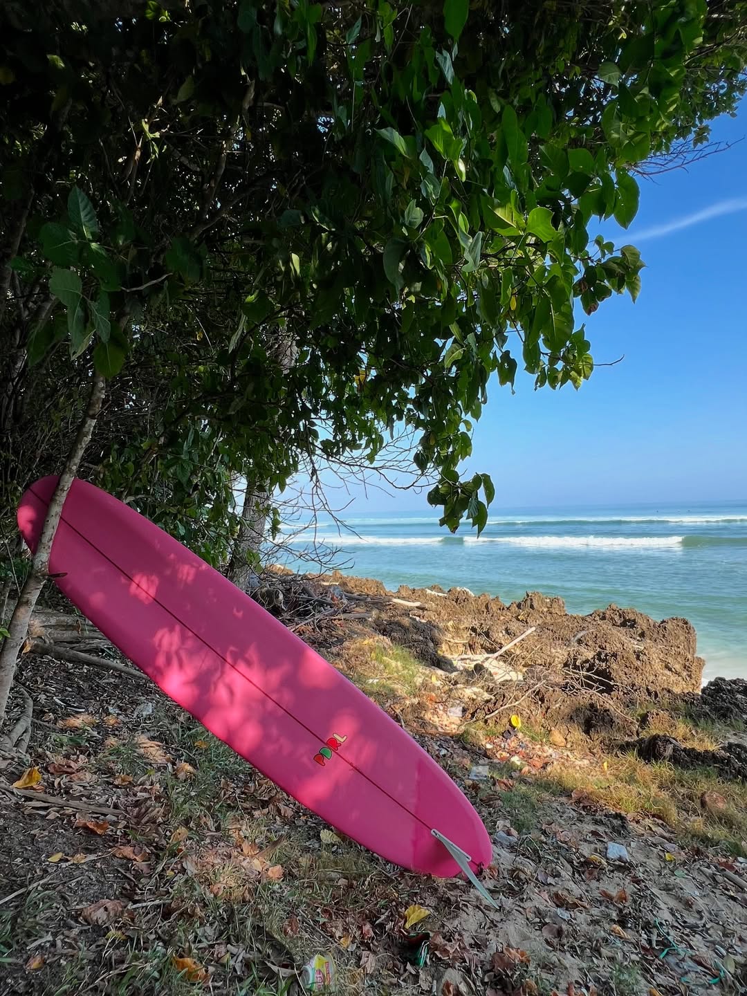 Surfer Food