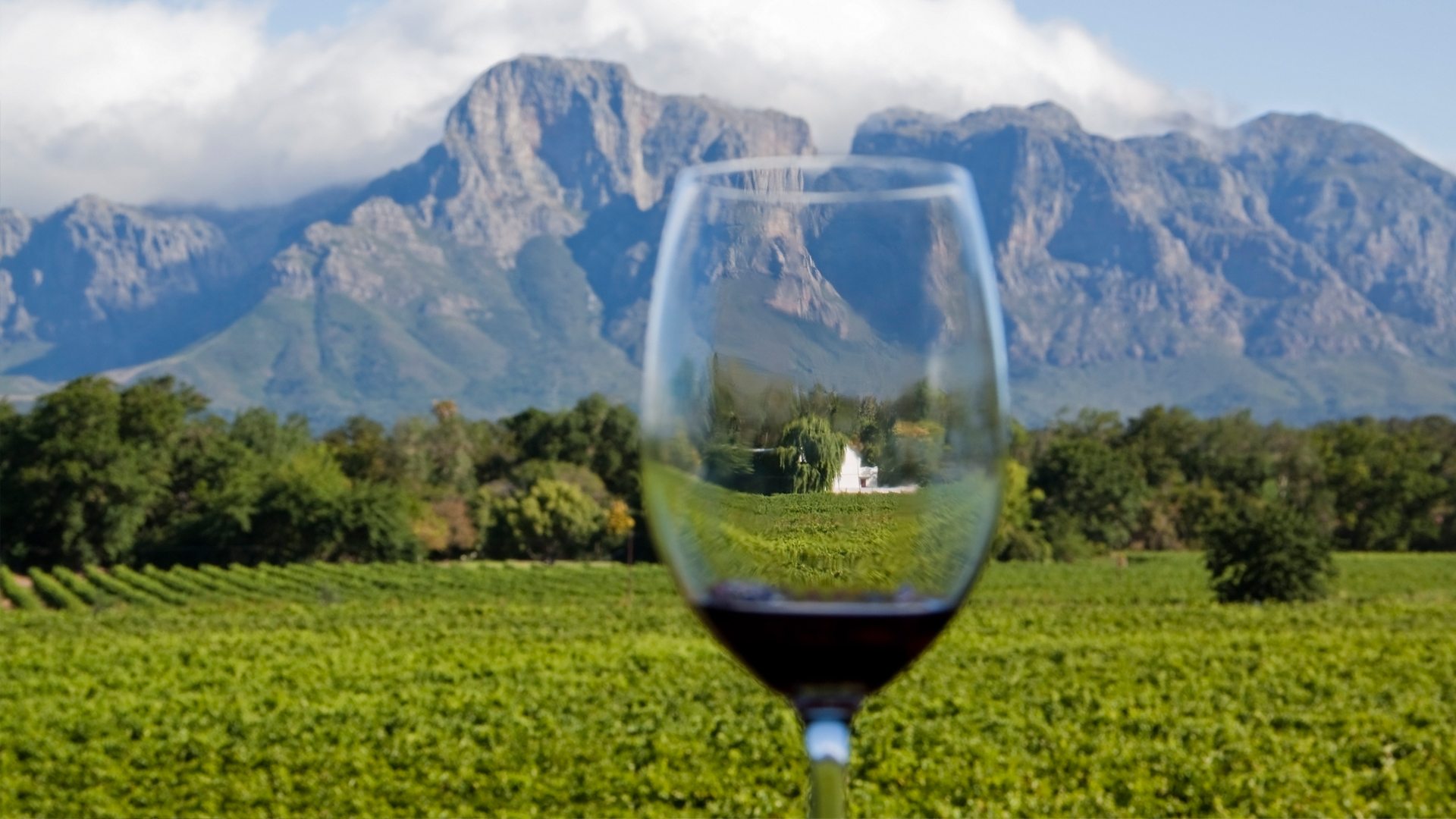 Stellenbosch